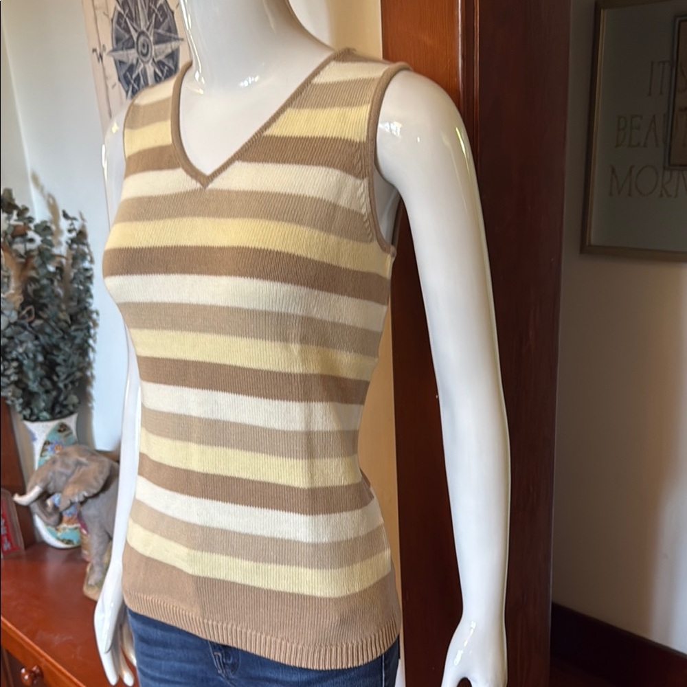 NWT northern reflections size small Striped Sleeveless V-Neck Top